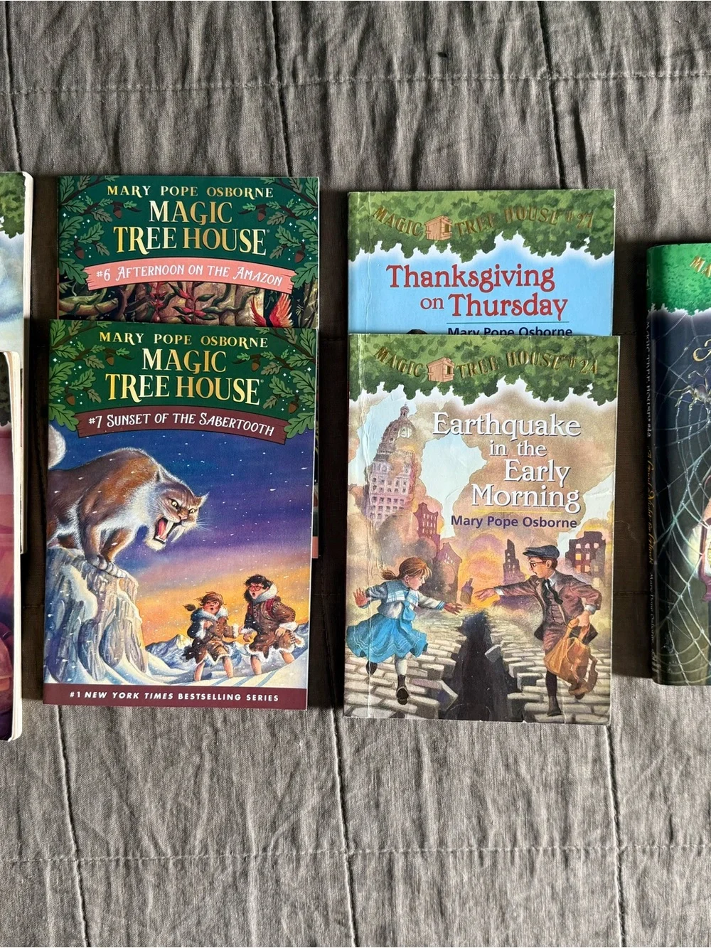 Magic Tree House Books